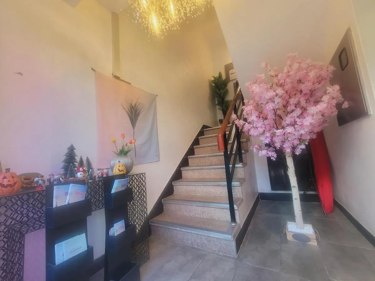 Olive Hostel Myeongdong Seul Korea Południowa